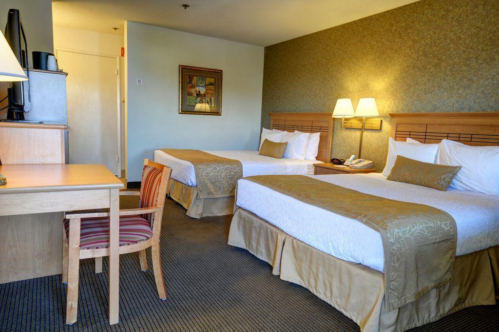 Hotel Western 3*